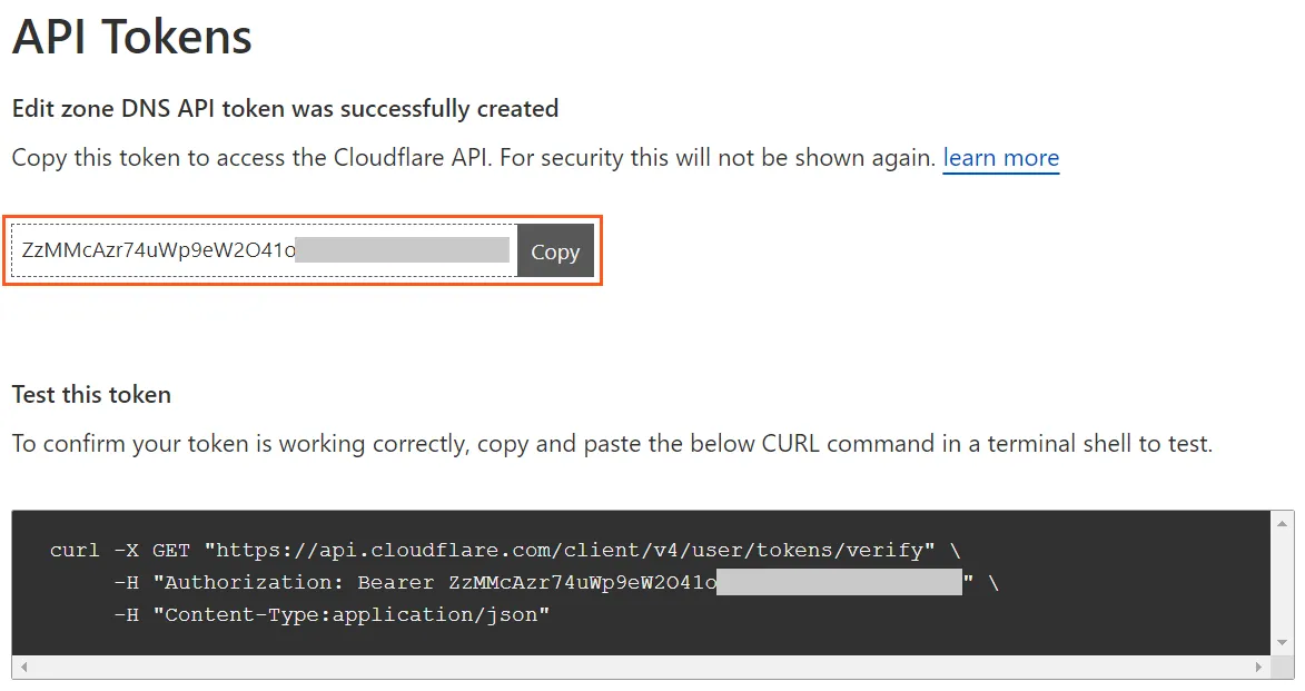 Page displaying your API token and the curl command to test your token